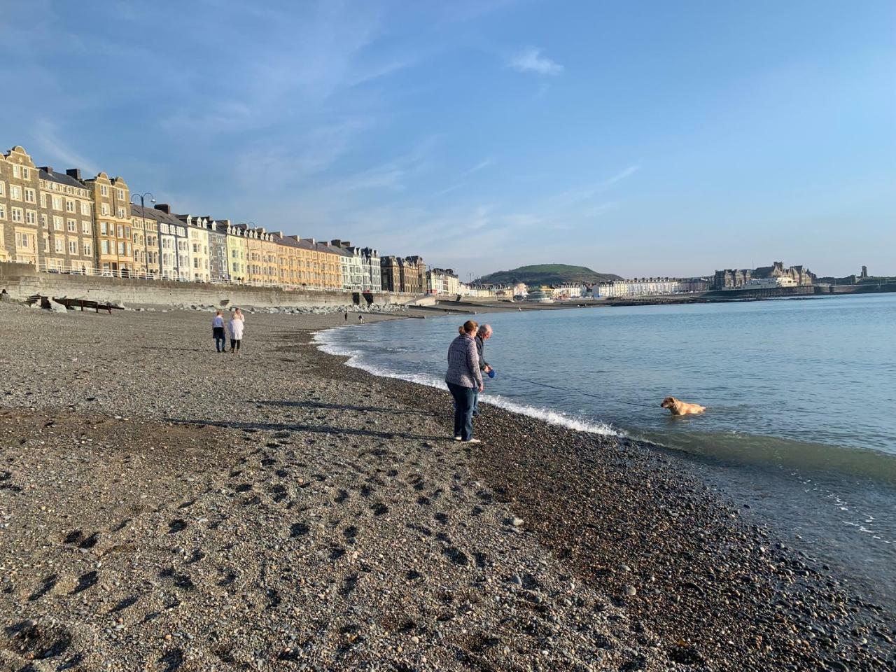 Cardigan Bay Self Catering Accommodation Aberystwyth Ngoại thất bức ảnh